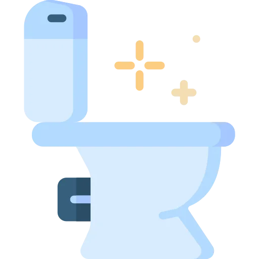 Bathroom Cleaning